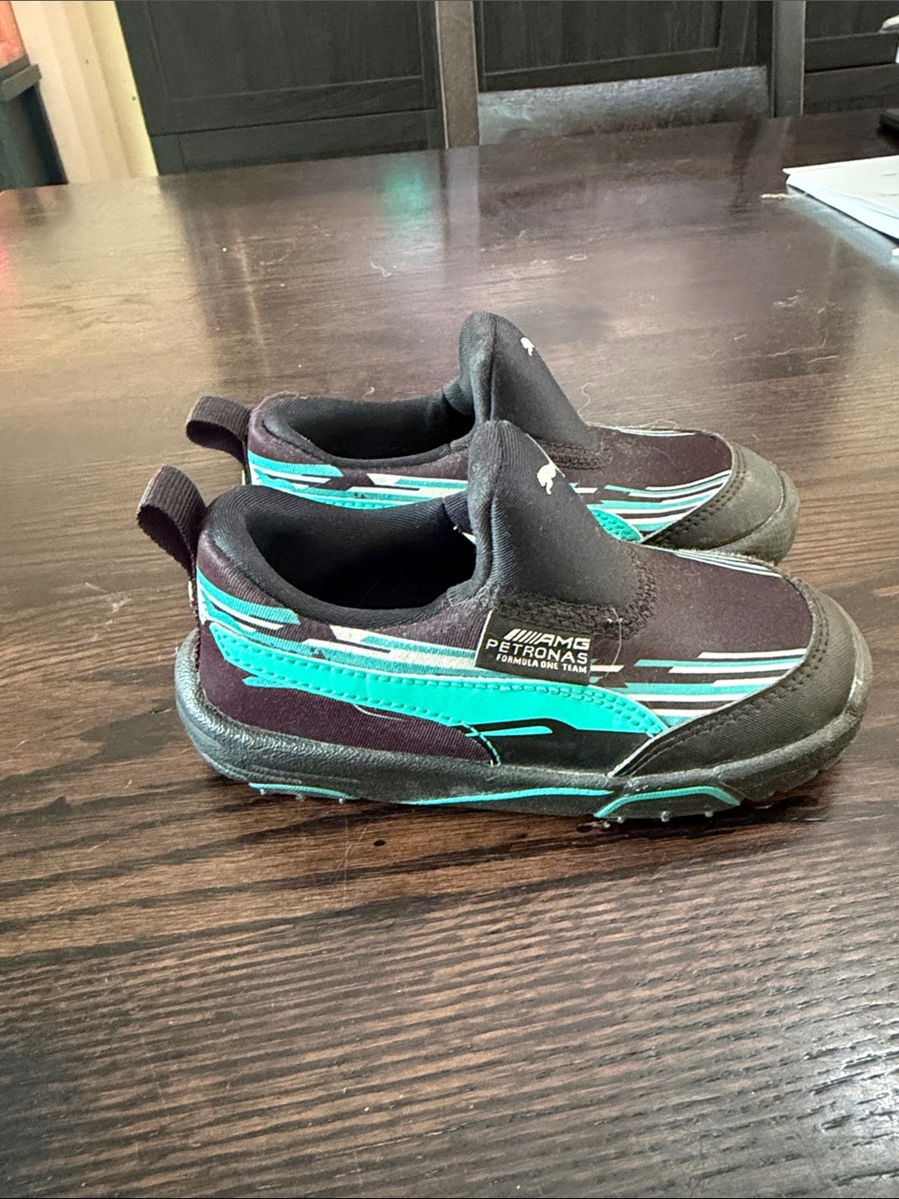 Puma Kids Slip-On Sneakers in Black & Teal Accent